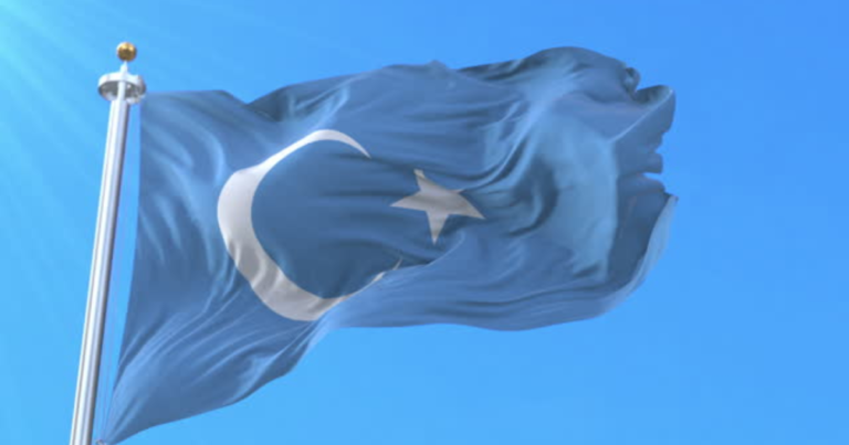 East Turkistan Flag